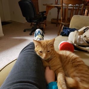 Meet your Posher, Justin